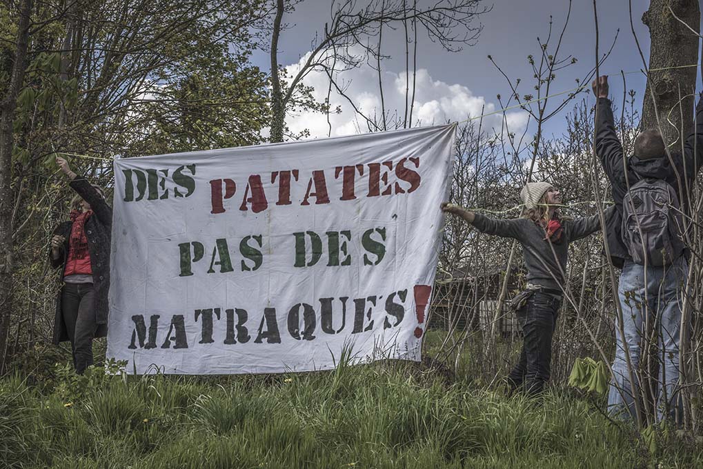 des chicons pas du béton